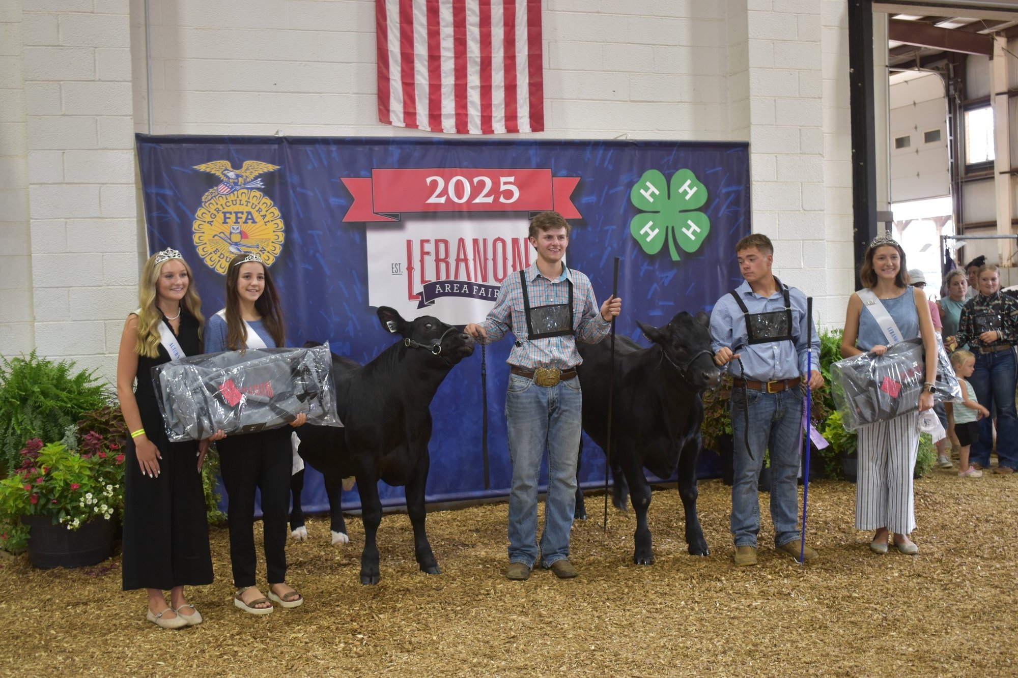 Lebanon fair winning calf